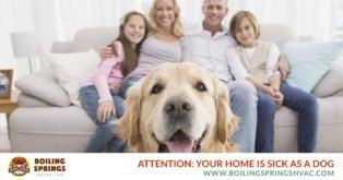 Attention: Your Home is Sick as a Dog